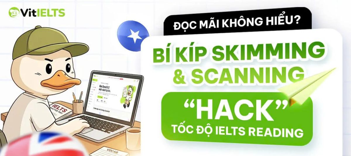 Skimming Và Scanning IELTS Reading: Bí Kíp Tăng Tốc Độ Đọc