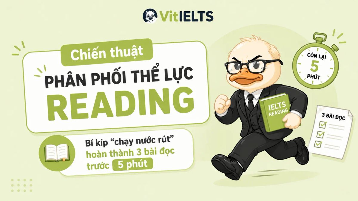 Chiến thuật phân phối thể lực Reading: Bí kíp "chạy nước rút" hoàn thành 3 bài đọc trước 5 phút